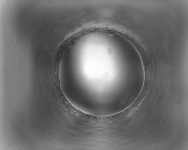 X0000069361494200605150903