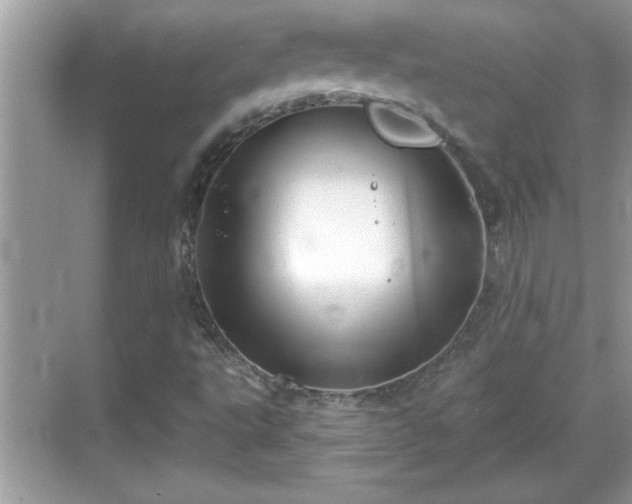 X0000069361495200605150903