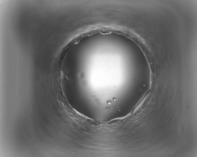 X0000069361496200605150903