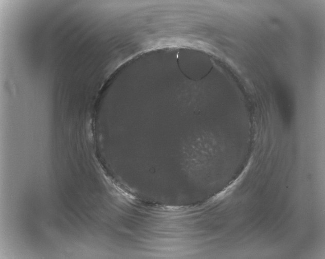 X0000069361497200605150903