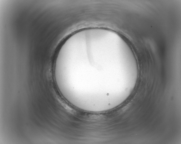 X0000069361498200605150903