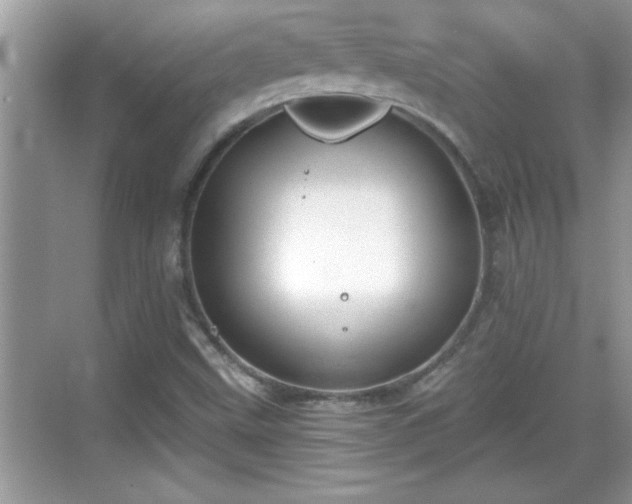 X0000069361499200605150903