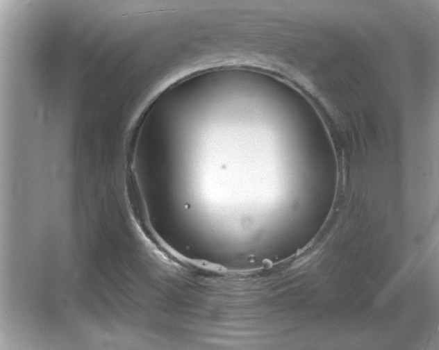 X0000069361500200605150903