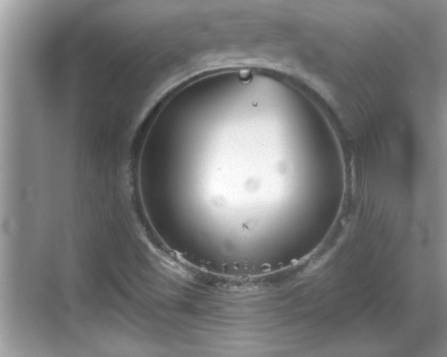 X0000069361501200605150903