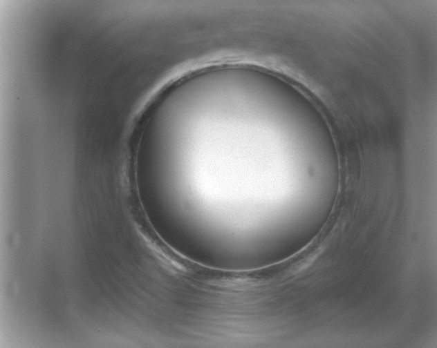 X0000069361502200605150903