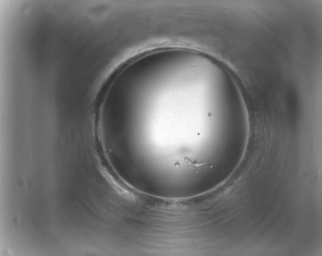 X0000069361503200605150903