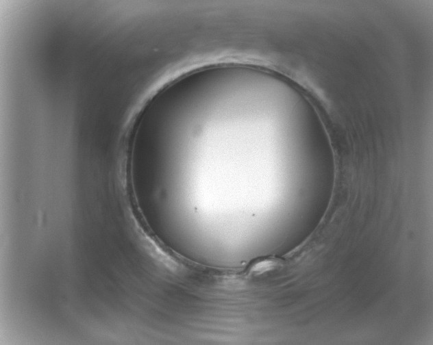 X0000069361504200605150903