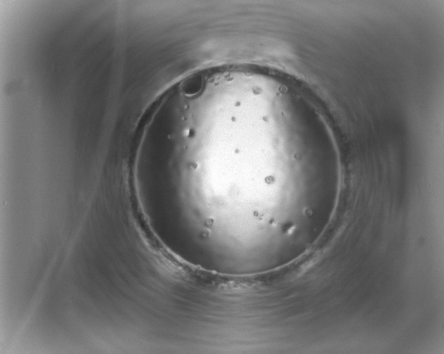 X0000069361505200605150903