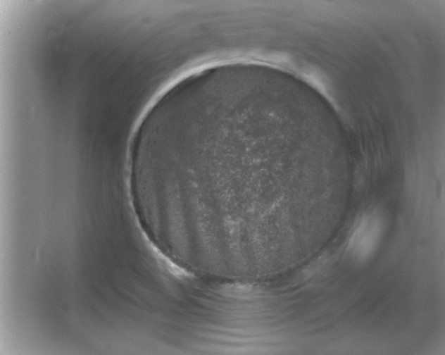 X0000069361508200605150903