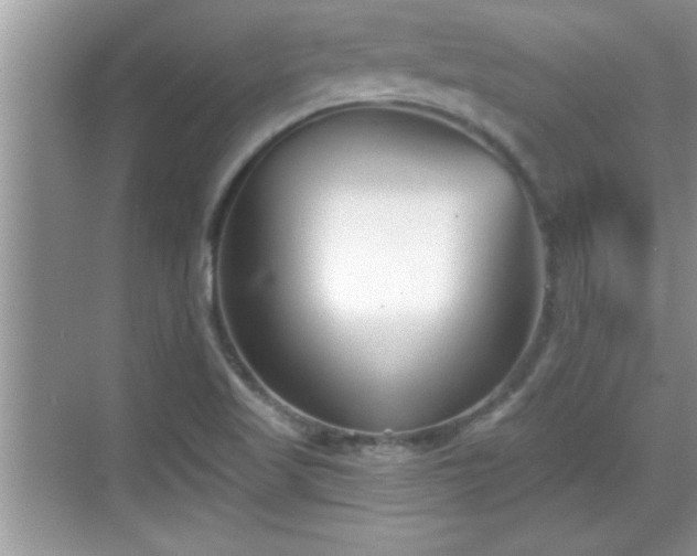 X0000069361509200605150903