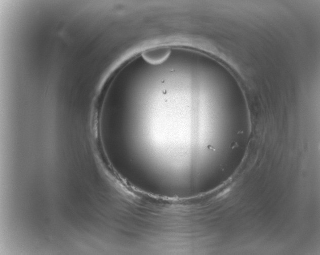 X0000069361510200605150903