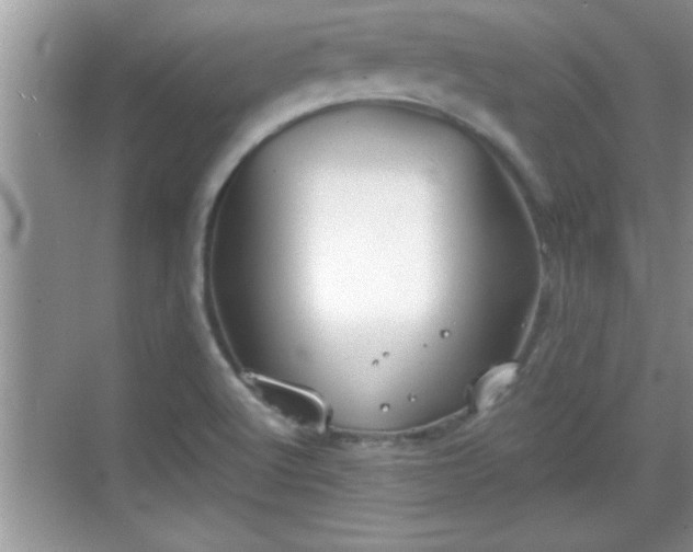 X0000069361512200605150903