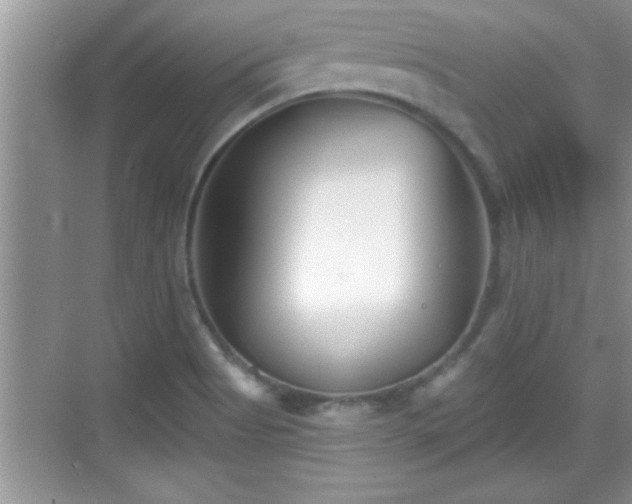 X0000069361513200605150903