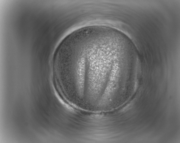 X0000069361515200605150903