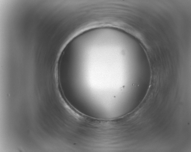 X0000069361516200605150903