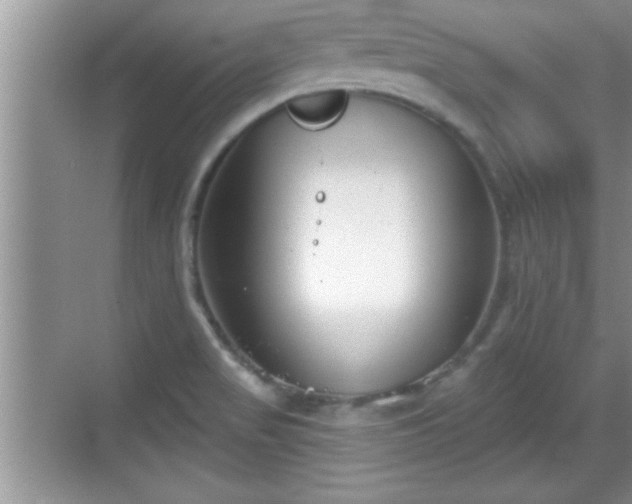 X0000069361517200605150903