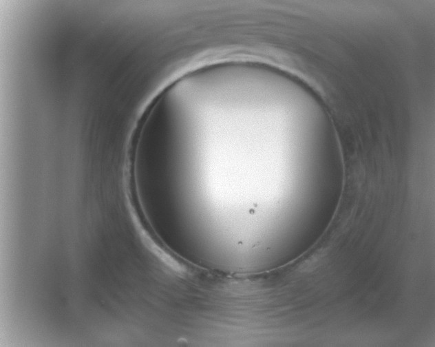 X0000069361518200605150903