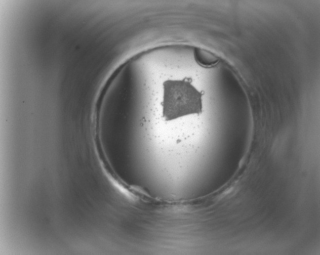 X0000069361519200605150903