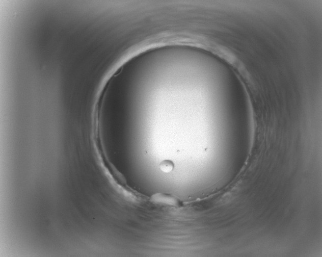 X0000069361520200605150903