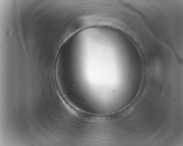 X0000069361521200605150903