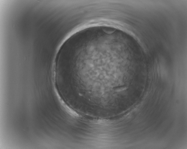 X0000069361522200605150903