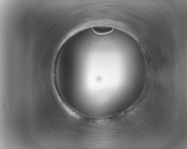 X0000069361523200605150903