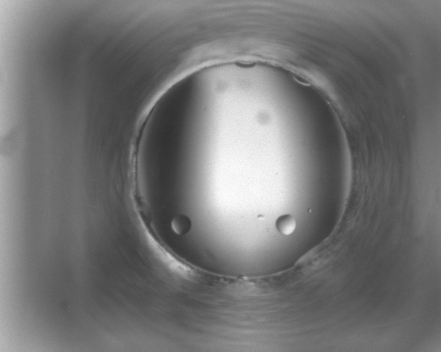 X0000069361524200605150903