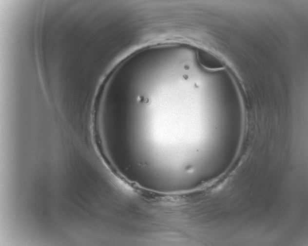 X0000069361525200605150903