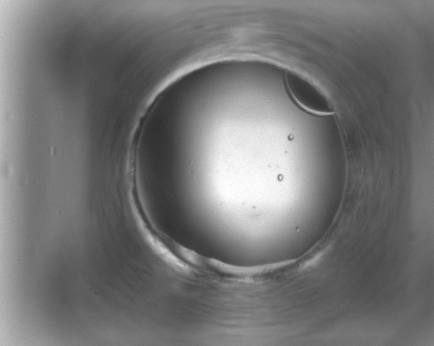 X0000069361526200605150903