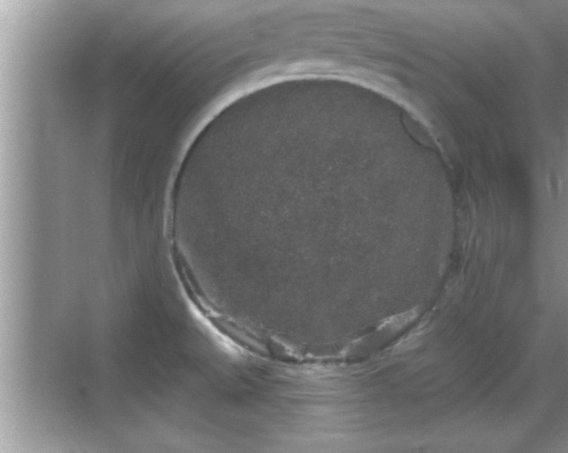 X0000069361527200605150903