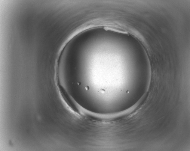 X0000069361528200605150903