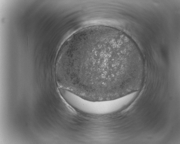 X0000069361529200605150903