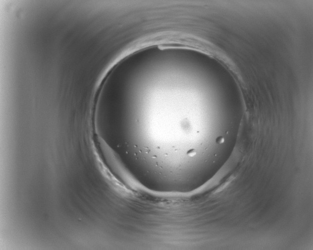 X0000069361530200605150903