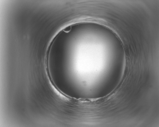 X0000069361531200605150903