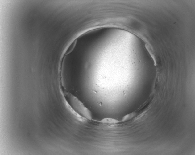 X0000069361532200605150903