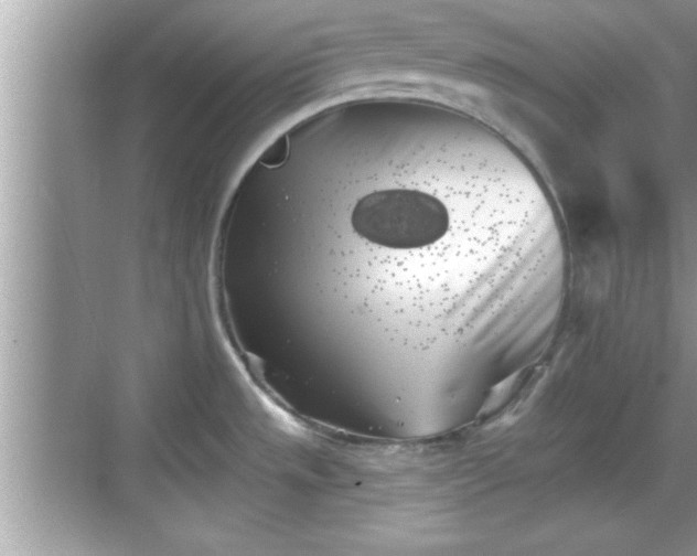 X0000069361533200605150903