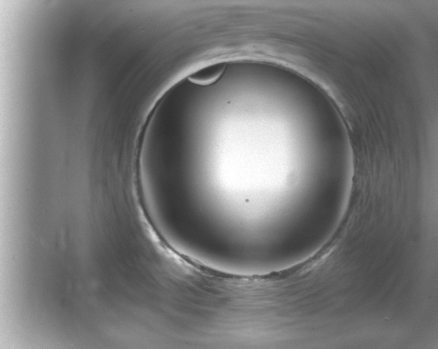 X0000069361534200605150903