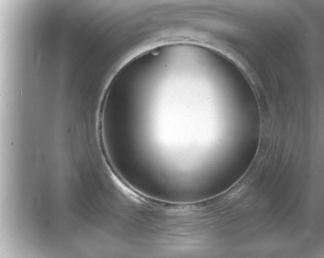 X0000069361535200605150903