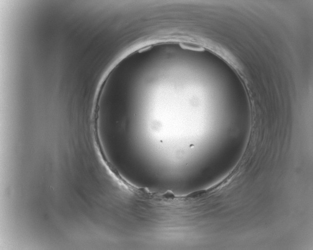 X0000069361536200605150903