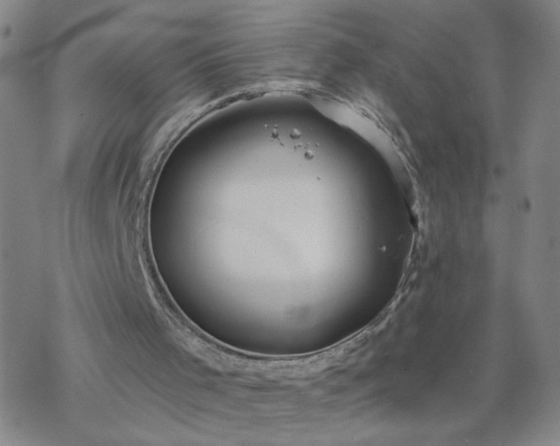 X0000069360001200605192110