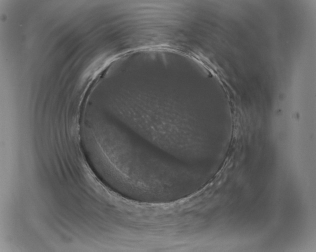 X0000069360002200605192110