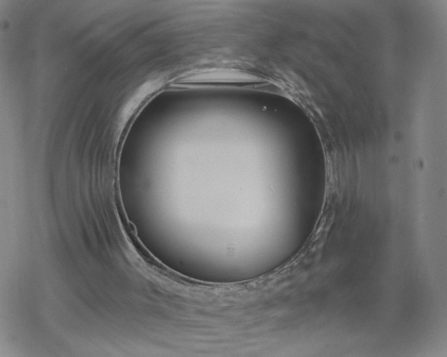 X0000069360003200605192110