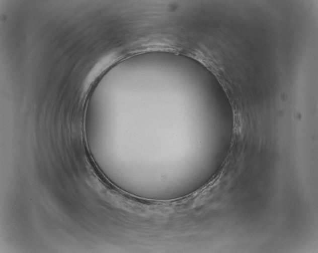 X0000069360004200605192110