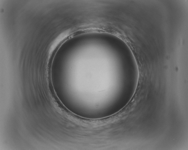 X0000069360006200605192110