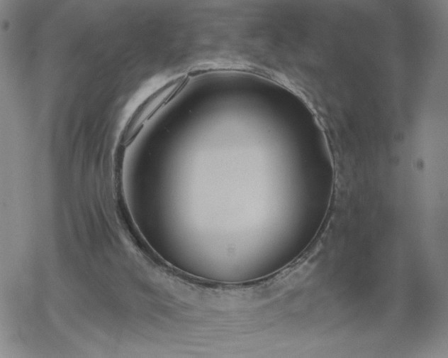 X0000069360008200605192110