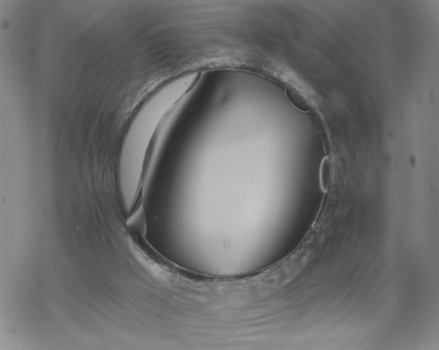 X0000069360009200605192110