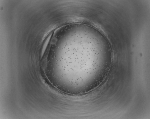 X0000069360010200605192110