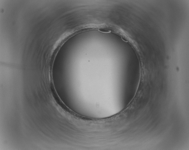 X0000069360011200605192110