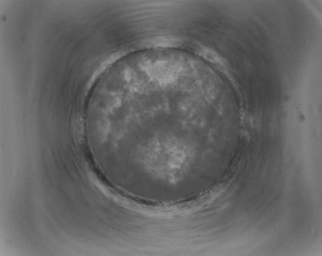 X0000069360012200605192110