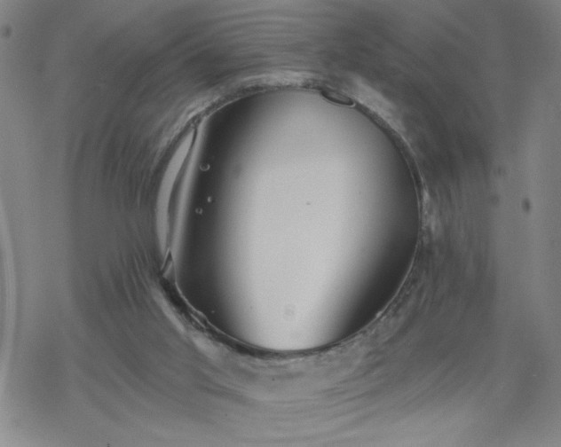 X0000069360013200605192110